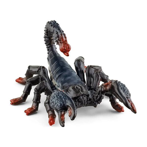 Emperor Scorpion