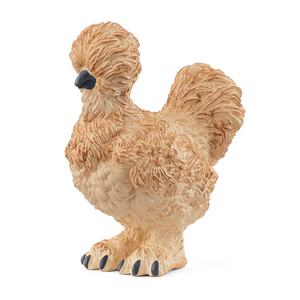 Silkie Chicken