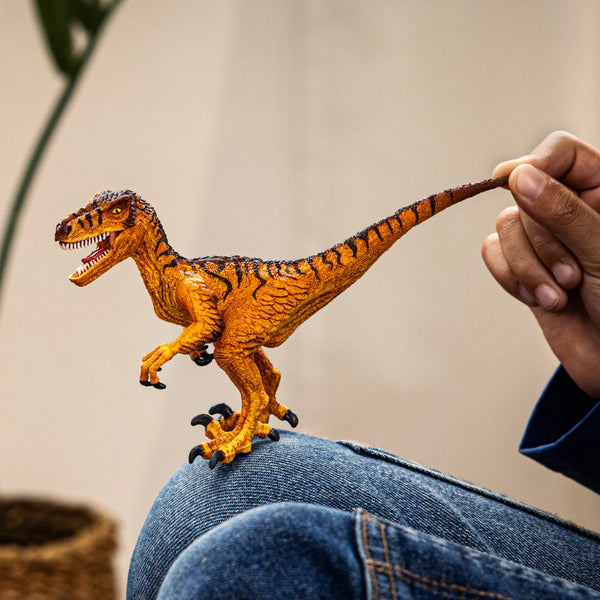 Velociraptor (Orange)