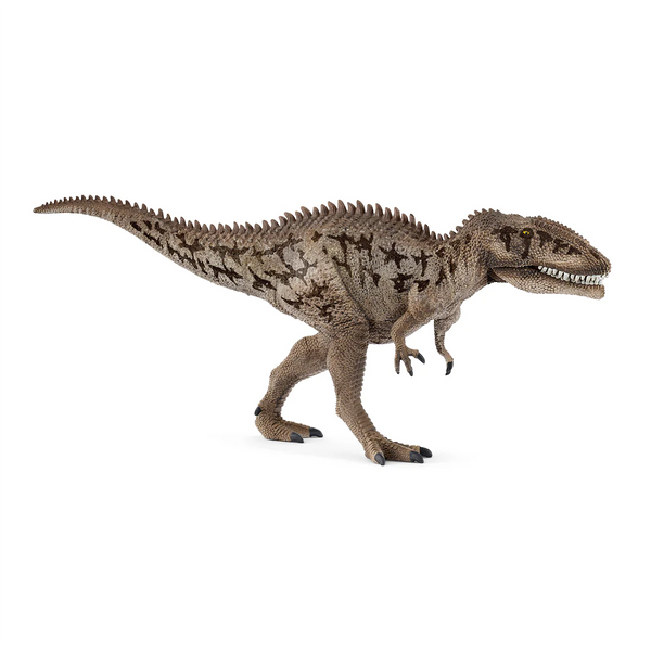 Carcharodontosaurus