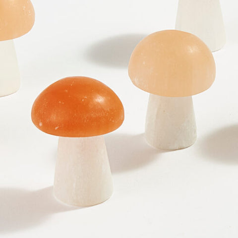 Selenite Mushroom