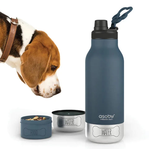 3-in-1 Ceramic Bottle for You & Dog