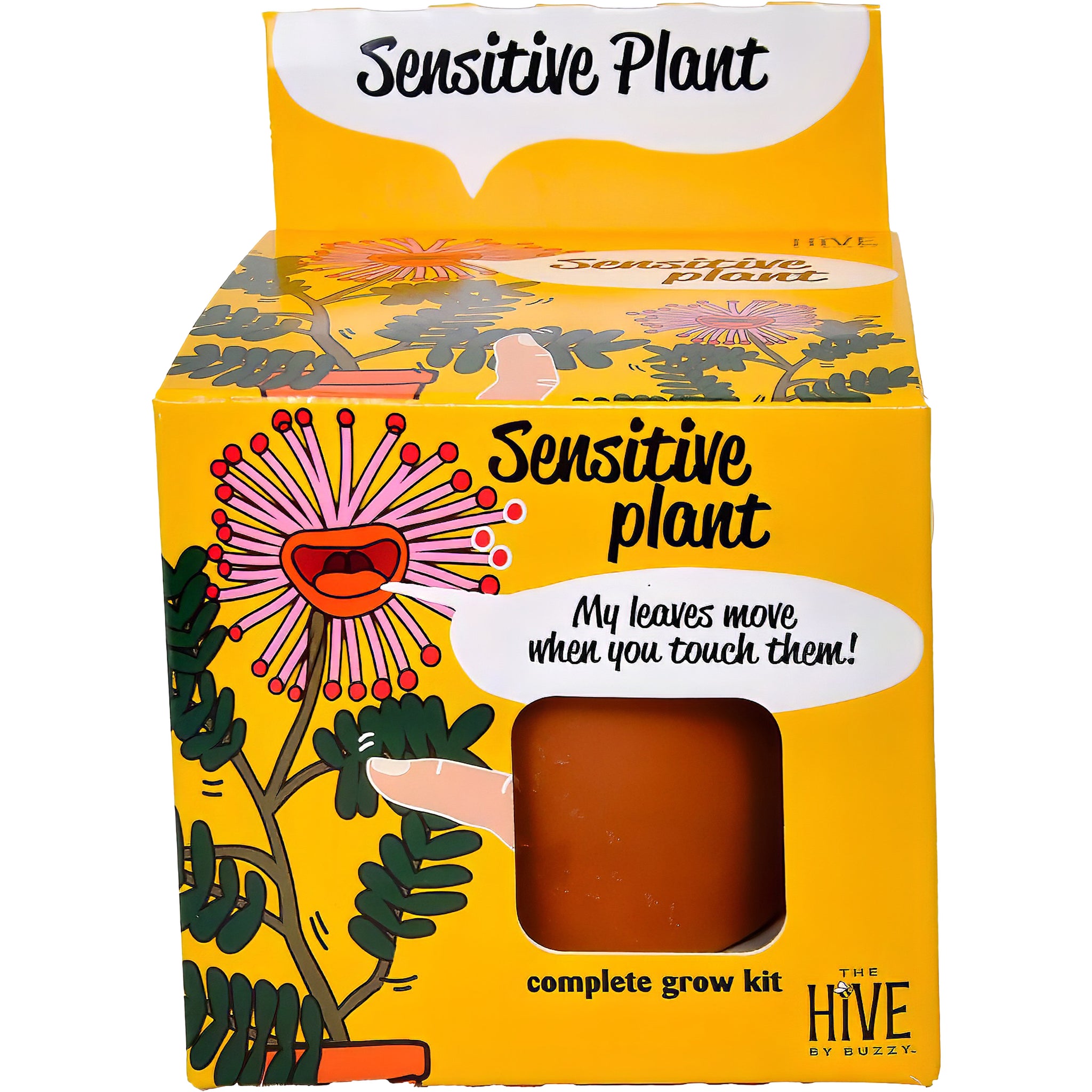 Sensitive Plant Complete Grow Kit