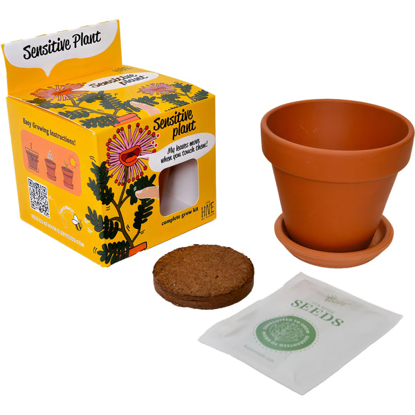 Sensitive Plant Complete Grow Kit