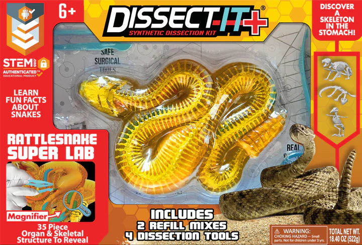 Dissect It | Rattle Snake Lab