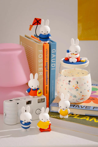 Miffy Goes Outside - Blind Box