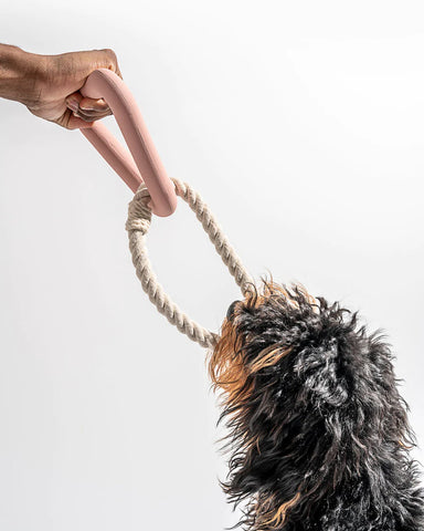 Triangle Tug | Dog Toy