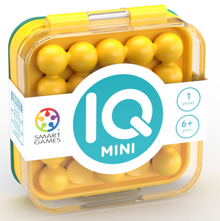 IQ Mini Puzzle