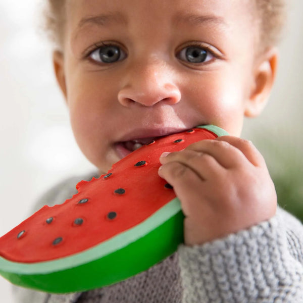 Wally The Watermelon